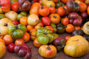 heirloom-tomates