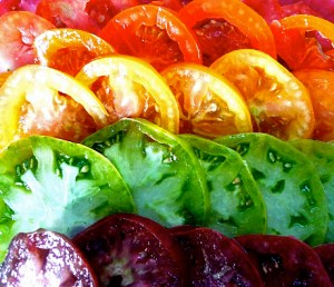tomato rainbow