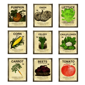 marisa-lerin-seed-packet-brads-asset-brad-garden-seeds-vegetables-embellishment-commercial-use