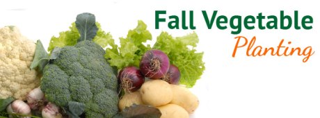 Fall Vegetable Planting